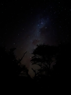 Milky Way. Phinda, South Africa